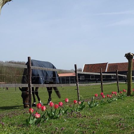 De Tulp Bed and Breakfast Noordgouwe Εξωτερικό φωτογραφία