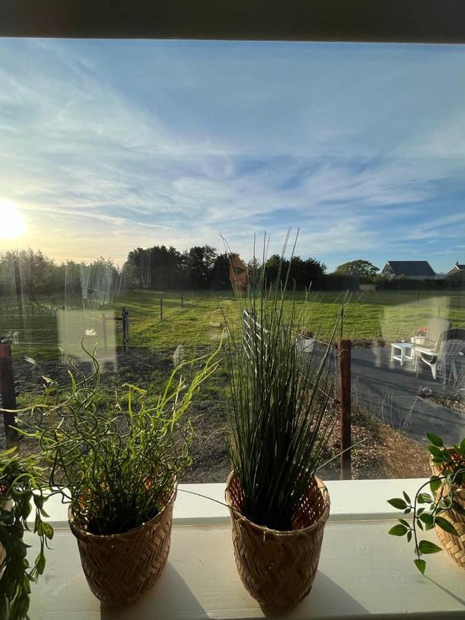 De Tulp Bed and Breakfast Noordgouwe Εξωτερικό φωτογραφία