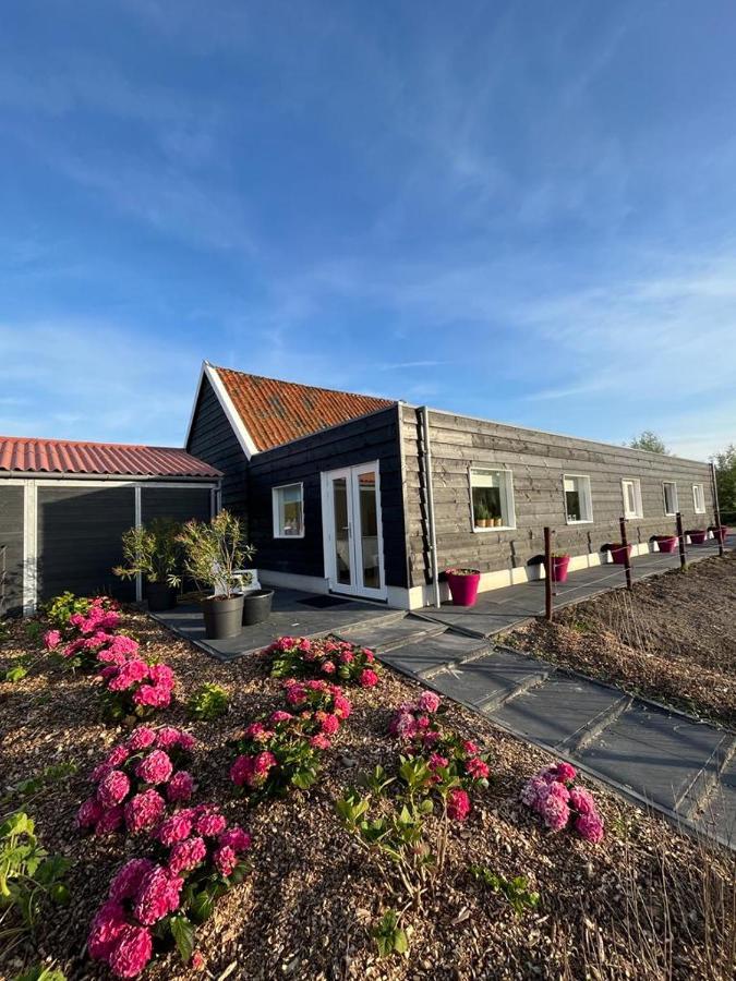 De Tulp Bed and Breakfast Noordgouwe Εξωτερικό φωτογραφία