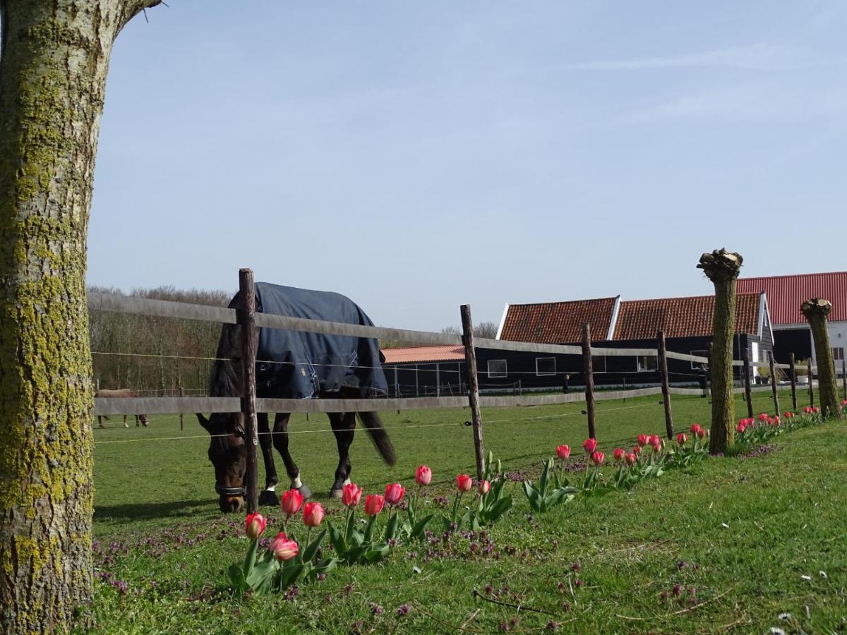 De Tulp Bed and Breakfast Noordgouwe Εξωτερικό φωτογραφία