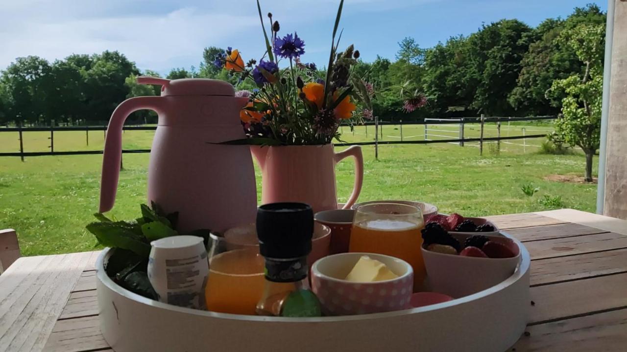 De Tulp Bed and Breakfast Noordgouwe Εξωτερικό φωτογραφία