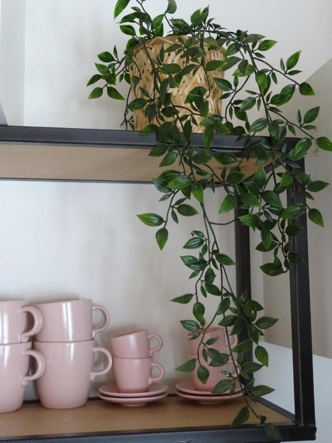De Tulp Bed and Breakfast Noordgouwe Εξωτερικό φωτογραφία