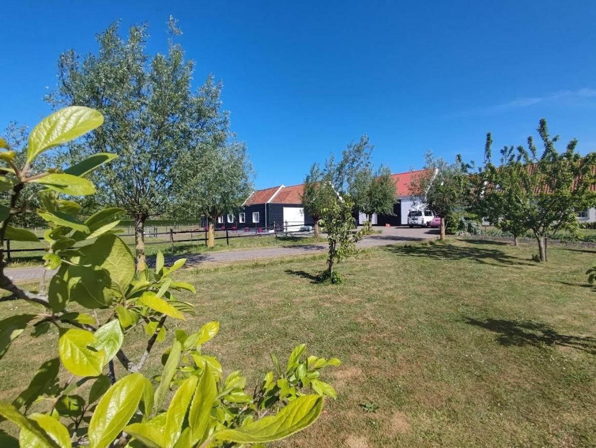 De Tulp Bed and Breakfast Noordgouwe Εξωτερικό φωτογραφία