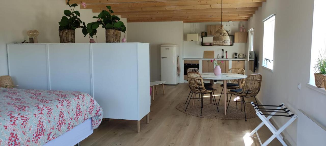 De Tulp Bed and Breakfast Noordgouwe Εξωτερικό φωτογραφία